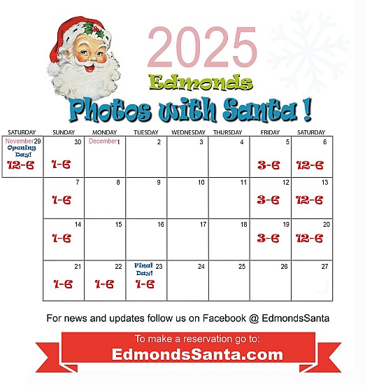 Family Santa Visit and Photo Session + Digital Download of all of your images (1 individual family)